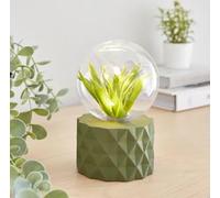 New Gorgeous Faux Terrarium Geometric Battery Table Lamp - Olive Green, Copper Lights, Faux Foliage, Ideal for Contemporary Spaces. Faux Foliage Entwined with 7 Copper Wire Lights.