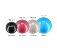 New gym ball HMS YB01 55 cm