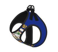 New Hampshire State Flag Print Adjustable Reflective Harness Leash Set For Cats, Dogs And Small Pets, Soft Breathable Mesh Walking Vest With Escape-Proof Lead