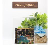 New HARUOMI HOSONO & YELLOW MAGIC BAND-PARAISO CD Japan