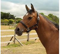 NEW Heritage Quality English Leather Padded Headcollar for Horse or Pony (Full, Black)