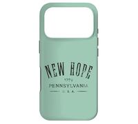 New Hope Pennsylvania USA Souvenir Distressed Design Case for iPhone 17 Pro