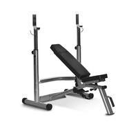 NEW Horizon Adonis Bench with Rack