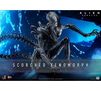 New Hot Toys MMS784 1/6 Alien: Romulus Scorched Xenomorph Action Figure In Stock