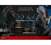 New Hot Toys MMS784 1/6 Alien: Romulus Scorched Xenomorph Action Figure In Stock