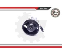 New Hydraulic Pump, steering system for NISSAN:MURANO II 491101AA0A 491101AA0C