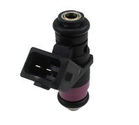 New Injector for RENAULT:FLUENCE,CLIO III,LAGUNA II,MEGANE CC,MEGANE II
