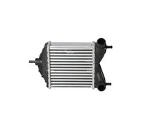 New Intercooler, charger for FIAT LANCIA:IDEA,MUSA,PUNTO,YPSILON,IDEA Van