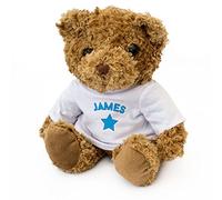 NEW - JAMES - Teddy Bear - Cute Soft Cuddly - Gift Present Birthday Xmas Valentine