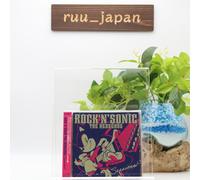 Rock 'n' Sonic The Hedgehog Sessions JAPAN ROCK ARRANGEMENT CD