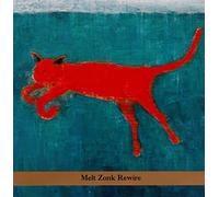 New Klezmer Trio - Melt Zonk Rewire