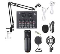 New Live Sound Card Microphone Set Voice Changer Multifunctional USB Audio Interface Intelligent Volume Mic for Live Broadcast (Color : Style Two)