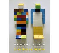 New media art conservation: 2. Evolutive Conservation Theory based on cases