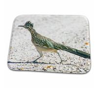 New Mexico, Bosque Del Apache, Roadrunner Bird - Jaynes Gallery Birds Floor Mats Non-Slip Bath Rug Washable Bathmat For Living Room Outdoor Indoor 40X60 Cm