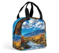 New Mexico Mountain Prints Lunch Bag for Women Men Insulated Lunch Box Lunch Tote Bag for Work Picnic