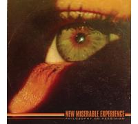 PHILOSOPHY ON PESSIMISM [VINYL]
