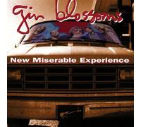 New Miserable Experience