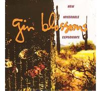 New Miserable Experience