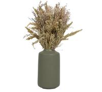 New Natural Grass in a Ceramic Vase, Placed On A Windowsill Or A Centrepiece, Perfect For Who Appreciate The Simplicity & Serenity Of Nature, Offers A Visually Appealing Addition- Green