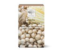 New Nordic Multi Mushroom 600mg, 30 Vegan Tablets, Golden Oyster, Reishi, and Chaga, High Antioxidant Blend, Ergothioneine Source