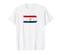 New Orleans Flag Textless NOLA City Pride Grunge Value Graphic T-Shirt, Men, White, XL