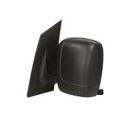 TYC 309-0106 Wing mirror