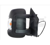 TYC 309-0166 Wing mirror
