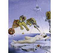 New Paint by Numbers Oil for Adults Children - Salvador Dalí Famous Painting Party with Tiger - DIY Oil Painting by Numbers Kits Decoration Gift
