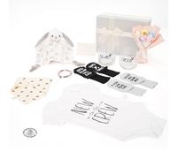 New Parents Pregnancy Gift Set, Whisky Tumbler with Romper and Baby Socks, Baby Safety Blanket, Decision Coin, Bib, Creative Knitted Flower