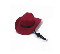 New Pet Hat Cosplay, The Latest Accessory, Handsome Photo Taking, Casual Style, Cat, Dog, Western Cowboy Hat(Red,15.5x12.8x6cm)