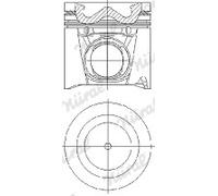 NÜRAL 87-421600-00 Piston