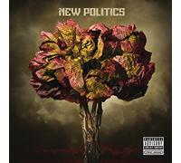 NEW POLITICS - New Politics