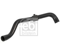 FEBI BILSTEIN 170980 Radiator hose