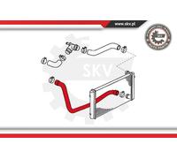 New Radiator Hose for VW:POLO Estate,POLO Variant 6K0121049H