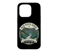 New River Gorge National Park West Virginia Vintage Badge Case for iPhone 15 Pro