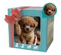 New Robot Dog, AI Robotic Dog, My Realistic Robot Puppy That Acts Like a Real Puppy - Walking, Barking, Tail Wagging 3