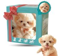 New Robot Dog Realistic Robotic That Acts Like Real Ai Robotic Puppy Dog Walking, Barking, Tail Wagging, That Acts Like a Real White B