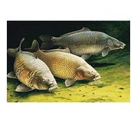 New Round 5D DIY Diamond Painting Cross Stitch Three Carp Mosaic Kits Big Fish Diamond Embroidery Crafts Home Decor