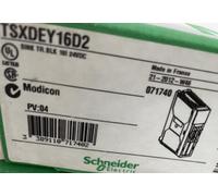 NEW SCHNEIDER TSXDEY16D2 PLC Input Module/