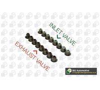 New Seal Set, valve stem for DAIHATSU TOYOTA:IQ,IST,RUNX,AURIS,BLADE