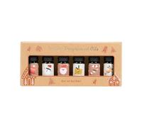 New Set of 6 Novelty Fragranced Oils Gift Pack - White Christmas, Popcorn Fun, Caramel Drizzle, Spiced Sugar Cookie, Northern Forest & Vanilla Cashmere N-66