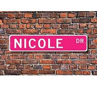 New Sign 4x16 inches Nicole Nicole Sign Nicole Gift Nicole Decor Child Gift Grandchild Gift Nicole Birthday Metal Street Sign