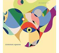 New Simplicity Trio - Common Spaces