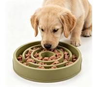 New slow feeder dog bowls Maze Licking Plate Easy to clean