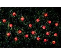 New Solar Powered 30 Insects String Lights with Warm White LED Colour, Rechargeable Battery Included, Add Character & Create an Inviting, Ambient Glow in Your Garden At Night -B01 - Ladybird