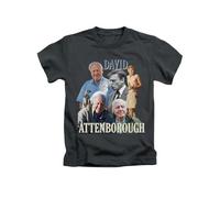 New Spirit Original David Attenborough Tee T-Shirt Funny Unisex T Shirt Top Black