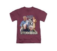 New Spirit Original David Attenborough Tee T-Shirt Funny Unisex T Shirt Top Maroon