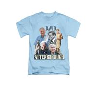 New Spirit Original David Attenborough Tee T-Shirt Funny Unisex T Shirt Top Sky Blue