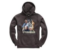 New Spirit Original David Attenborough Unisex Funny Kids Hoodie Jumper Dark Heather