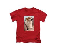 New Spirit Original Smiling corgie Dog Meme Dog Trending Dog cat Tee T-Shirt Funny Unisex T Shirt Top Red